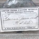 Idocrase Jaune (Collection)