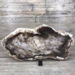 Bois Fossile