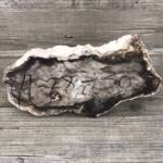 Bois Fossile