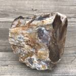 Bois Fossile