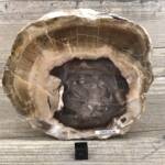 Bois Fossile