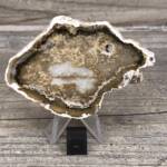 Bois Fossile de Madagascar