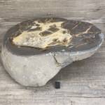 Septaria