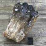 Quartz Fumé