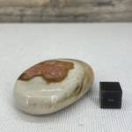 Jaspe Polychrome Poli