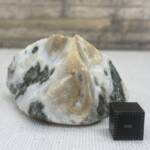 Jaspe Orbiculaire