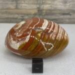 Jaspe Poli