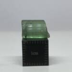Tourmaline Brute