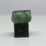 Tourmaline Brute