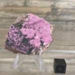 Cobaltocalcite