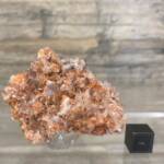 Creedite