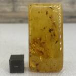 Ambre de Colombie