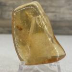 Ambre de Colombie