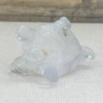 Tortue en Fluorine