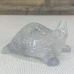 Tortue en Fluorine