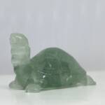 Tortue en Fluorine