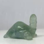 Tortue en Fluorine