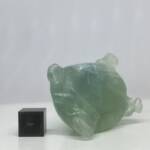 Tortue en Fluorine