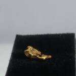 Pépite d'Or
