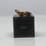 Pépite d'Or