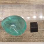Fluorine Polie