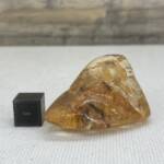 Ambre de Colombie