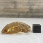 Ambre de Colombie