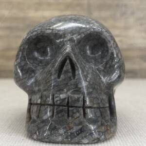 Crâne en Corail Fossile