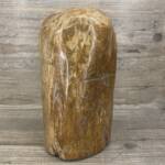 Bois Fossile