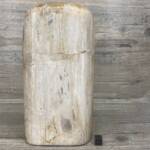 Bois Fossile