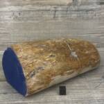 Bois Fossile