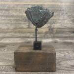 Pierre de Lave (Collection)