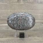Galet en Fossile