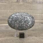 Galet en Fossile