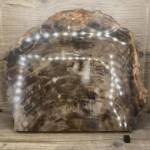 Bois Fossile