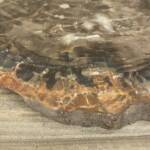 Bois Fossile