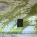 Ophiolite polie