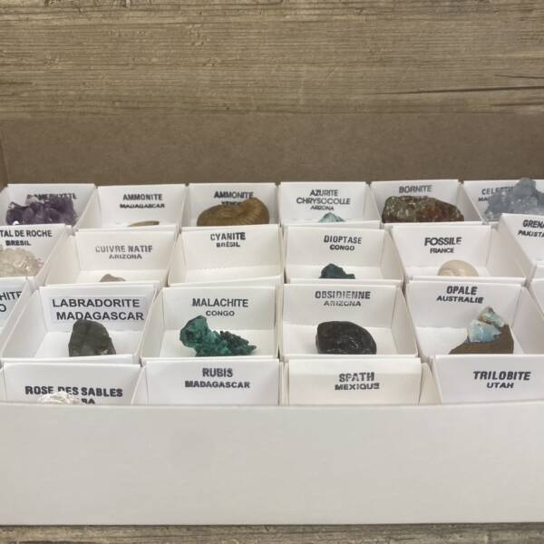 Collection Minéraux et Fossiles