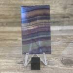 Fluorine Polie Multicolore