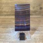 Fluorine Polie Multicolore