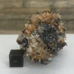 Creedite du Mexique
