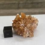 Creedite du Mexique