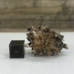 Creedite du Mexique