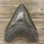 Dent de Requin