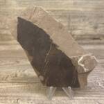 feuille fossile