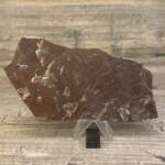 feuille fossile