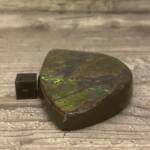 Ammolite