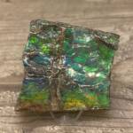 Ammolite