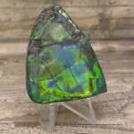 Ammolite