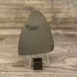 Ammolite